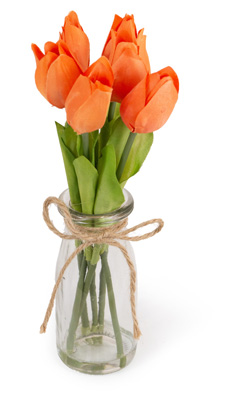 Orange Tulips in Jar