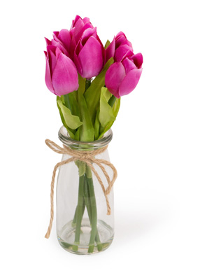 Fuschia Tulips in Jar