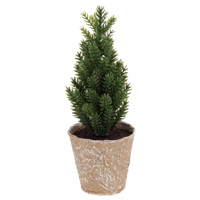 Mini Paper Pot Plain Pine Tree