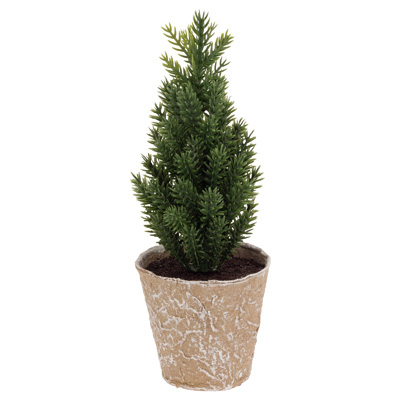 Mini Paper Pot Plain Pine Tree
