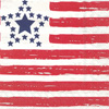 LNCHDistressed Flag