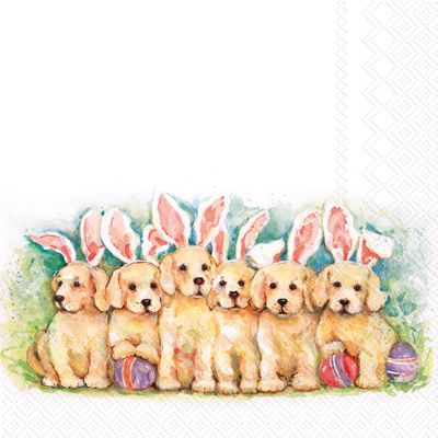 Candy Dogs Lunch Napkin