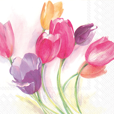 Tulip Season Lunch Napkin