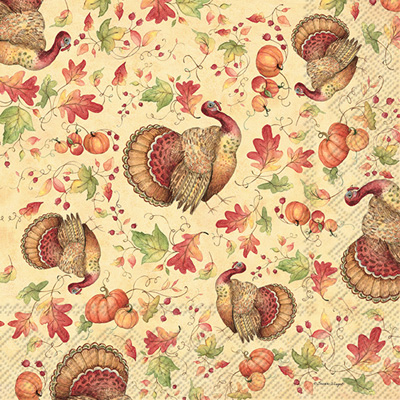 Turkey Toss Lunch Napkin