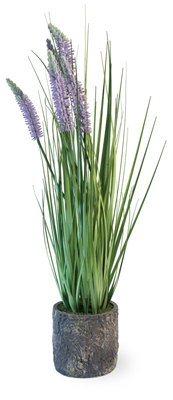 Lavender Grass