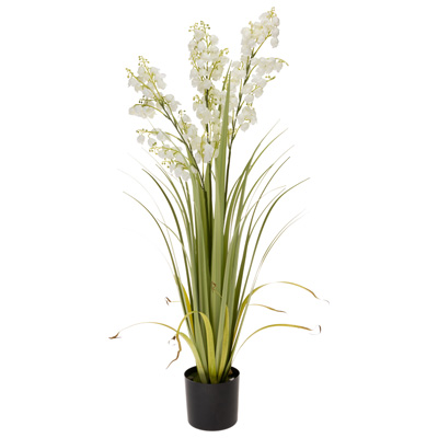 White Bellflower Grass (36 inches