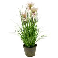 Small Pink Sea Urchin Grass (18 inches)