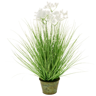 White Clouds Grass (24 inches)