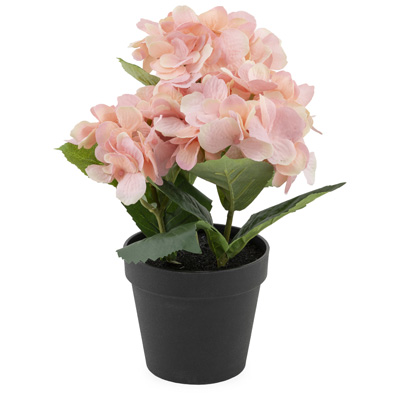 Pink Hydrangea Potted Plant