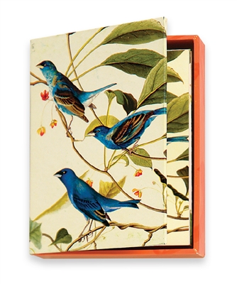 The MET Audubon Birds Boxed Notecards