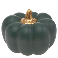 Teal Matte Pumpkin