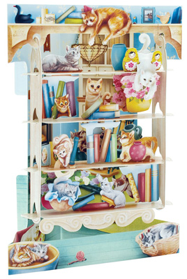 Display CardCats On Bookshelves