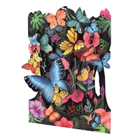 Display Card/Tropical Butterflies
