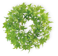 Ivy Wreath green