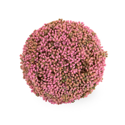 Pink Floral Mulberry Ball