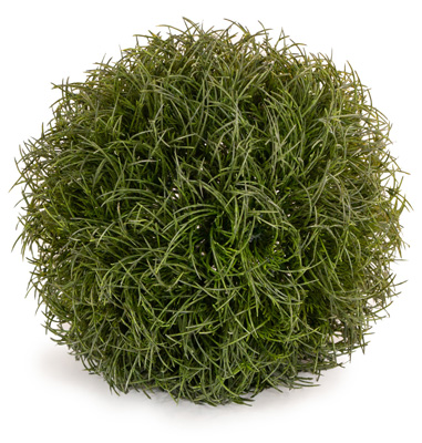 Green Grass Ball