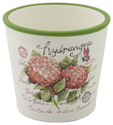 Hydrangea Pot