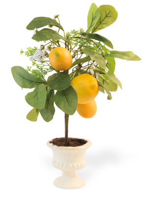 Lemon Topiary