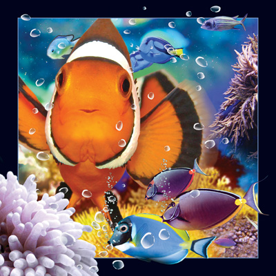Worth Keeping Clownfish 4D Card