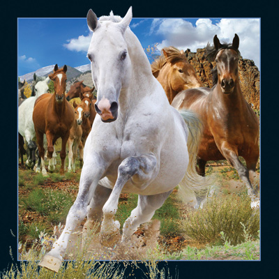 Worth Keeping Horses 4D Card