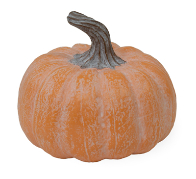 Orange Chalk Short Pumpkin