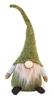 Entodon Moss Gnome