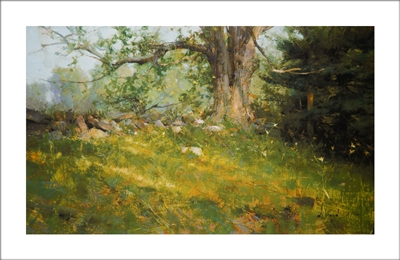 Diana's Maple Lithograph By Richard Schmid
