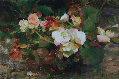 Begonias By Richard Schmid