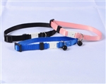 Safety Collar