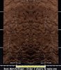 Walnut Claro USA Guitar Curly Marbled wood veneer