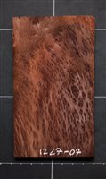 Redwood Burl wood veneer