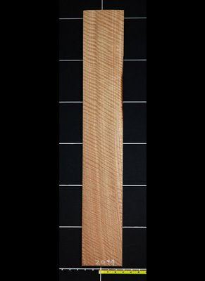 Eucalyptus QC Curly wood veneer