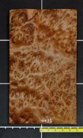 Redwood .7mm Swirly Burl wood veneer