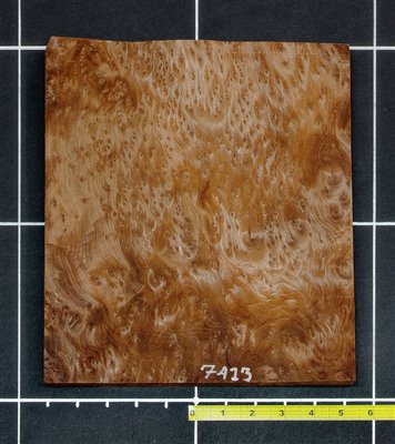 Redwood .7mm Swirly Burl wood veneer