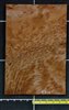 Redwood .7mm Swirly Burl wood veneer