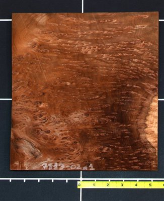 Redwood Quilted Raindrop Burl wood veneer