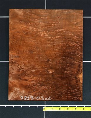 Redwood Quilted Raindrop Burl wood veneer