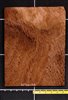 Redwood .7mm Burl Contrasty wood veneer