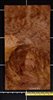 Redwood .7mm Burl Quilted Contrasty wood veneer