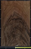 Walnut USA Swirly wood veneer