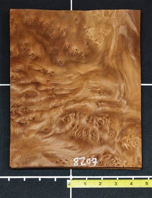Redwood .7mm Quilted Burl wood veneer