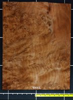 Redwood .7mm Burly Quilt wood veneer