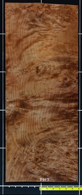 Redwood .7mm Burly Quilt wood veneer