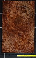 Redwood .7mm Guitar Swirly Burl wood veneer