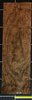 Walnut Claro USA Curly Burl wood veneer