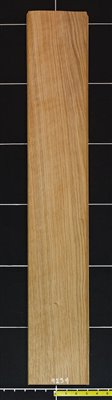 Oak White Rift wood veneer