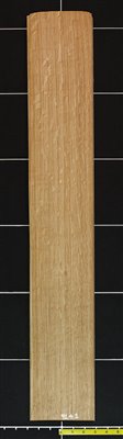 Oak White Rift wood veneer