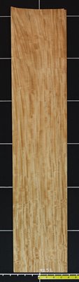 Primavera QC Mottled .8mm wood veneer