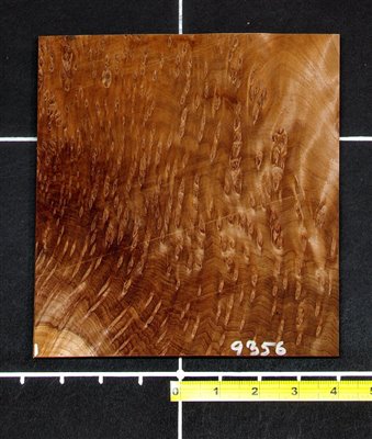 Redwood .7mm Swirly Burl wood veneer