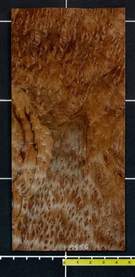 Redwood .7mm Burl wood veneer